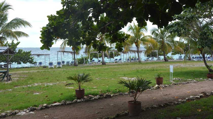 puntaperdiz