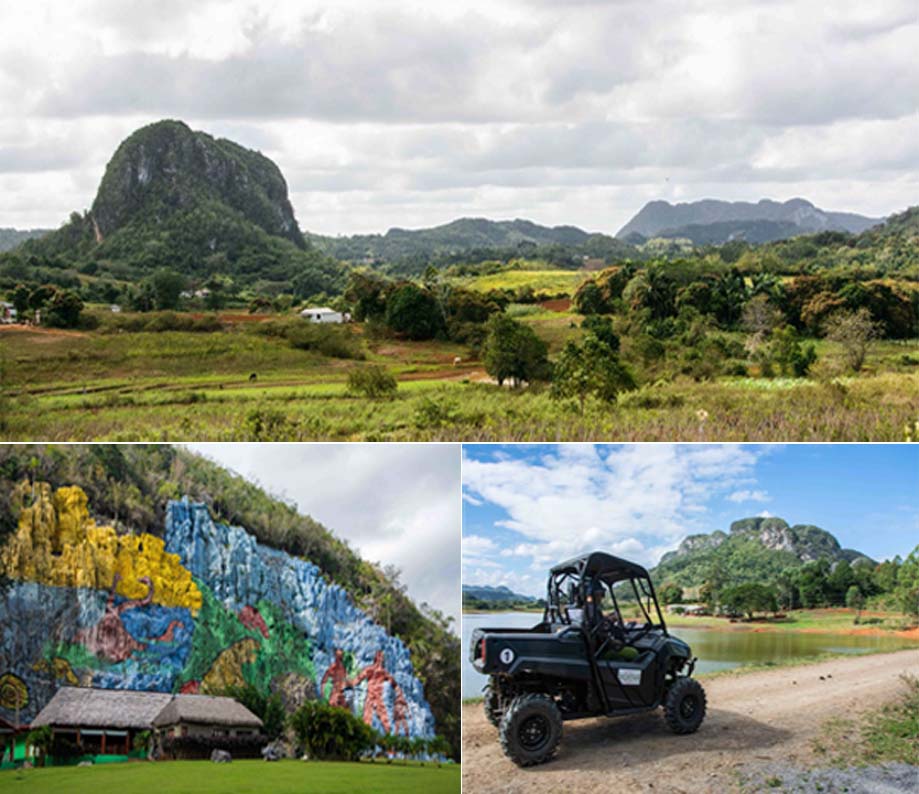 vinales