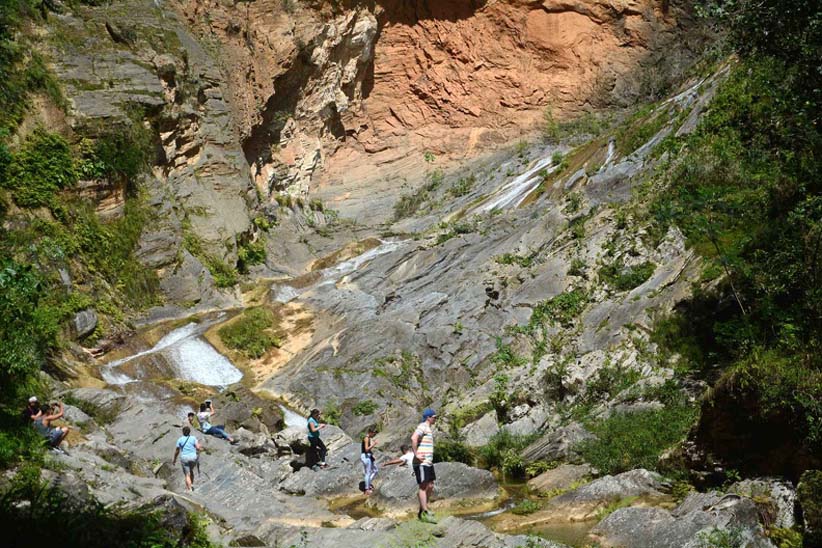 saltocaburni